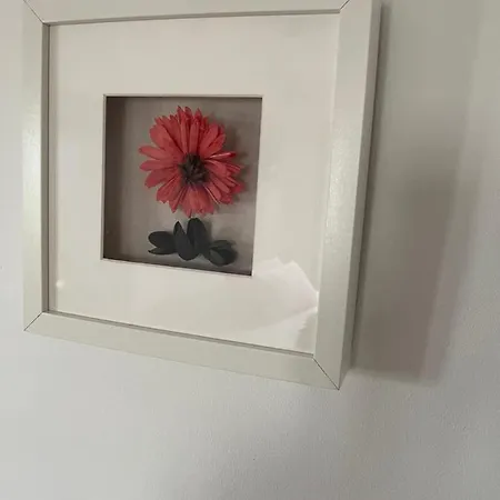 Casa Dulce *